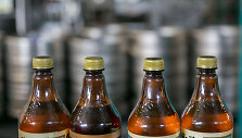 Alus