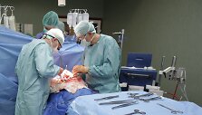 K.Rucinskas ir V.Janu&scaron;auskas