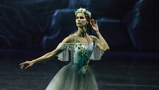&bdquo;Žizel&ldquo;, Greta Gylytė