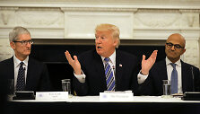 Timas Cookas, Donaldas Trumpas, Satya Nadella
