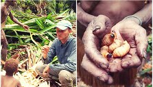 A.Morkūnas Papua saloje savaitę gyveno pas unikalią Korowai gentį