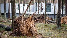 Stipraus vėjo padariniai Vilniaus mieste ir apylinkėse