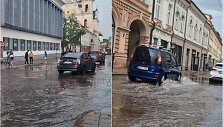 Liūtis Vilniuje