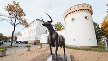 Tauragės pilis
