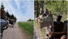 Į kelionę entuziastai leisis žemaitukų traukiamais mediniais vežimais