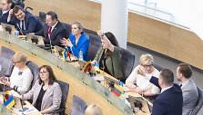 Tėvynės sąjungos-Lietuvos krik&scaron;čionių demokratų frakcija
