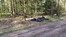 &Scaron;veicarijos seniūnijos mi&scaron;kuose aptiktas &scaron;iuk&scaron;lynas