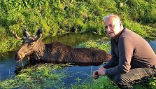 Briedžio gelbėjimo operacija