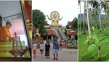 Koh Samui: palmių plantacijos, &scaron;ventyklos, paplūdimiai ir... mumijos