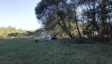 Salotės gatvėje sudegintas automobilis