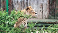 &bdquo;Žiemos sodų savaitė&ldquo; Lietuvos zoologijos sode