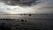 Horizontas