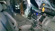 Avarija &Scaron;iauliuose. Kelią pastojo briedis