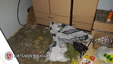 Įvykio vietoje