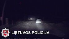 gaudynes