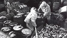 Silkės žūklė. Bernardo Aleknavičiaus nuotrauka. 1968 metai