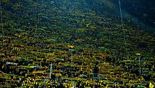 Dortmundo &bdquo;Borussia&ldquo; klubo sirgaliai