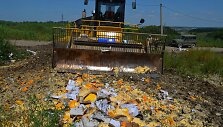 Rusijoje naikinami i&scaron; Vakarų &scaron;alių įvežti maisto produktai