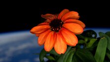 Astronauto Scotto Kelly darytos nuotraukos i&scaron; TKS