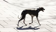 Vasarą primenantys orai i&scaron;viliojo vilniečius į gatves
