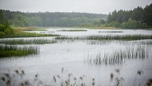Lietus gaivina gamtą ir merkia praeivius