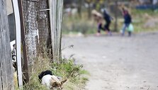 Buvę narkomanai romų tabore ie&scaron;kojo savo senųjų narkotikų prekeivių 