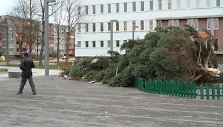 Vėjas vartė &Scaron;iaulių kalėdines egles