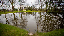Tvenkinys