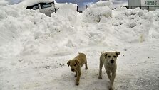 Rigopiano vie&scaron;butis Italijoje