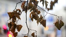 Lietus negailestingai merkia Vilnių