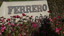 &bdquo;Ferrero&ldquo;