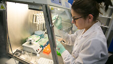 Vilniaus universiteto Biotechnologijos instituto profesoriaus Virginijaus &Scaron;ik&scaron;nio laboratorija