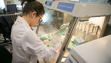 Vilniaus universiteto Biotechnologijos instituto profesoriaus Virginijaus &Scaron;ik&scaron;nio laboratorija
