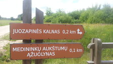 Nuorodos ry&scaron;kios ir ai&scaron;kios