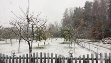 Sniegas Plungės rajone