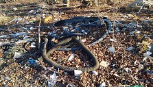 Mokolų kaimo vaizdai