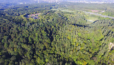 Pavilnių regioninis parkas