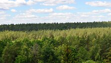 Nuo apžvalgos bok&scaron;to atsiveria nuostabi panorama į Anyk&scaron;čių apylinkes