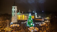 2015-ųjų Vilniaus Kalėdų eglė