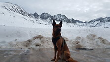 &Scaron;arūno Mičiulio ir Indros Kraptavičiūtės akimirkos Ispanijoje