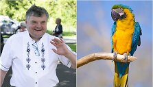 Kunigas Rimantas Gudelis, papūga Ara ararauna