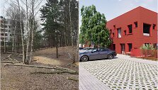 Pilaitės Priegliaus gatvėje kertami medžiai