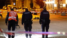 &Scaron;veicarijos policija