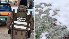 Temos iliustracija