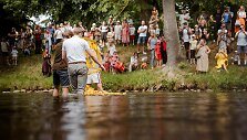 Ančiukų lenktynės Vilniuje