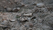 Archeologiniai kasinėjimai Žeimelyje