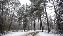 Žiema Verkių regioniniame parke