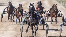 &bdquo;Derby&ldquo; ir &bdquo;Kriterium&ldquo; finale 8 ristūnai žirgai pagerino savo rezultatus