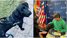 Edita su &scaron;unimi vedliu