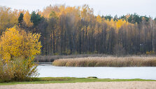 Ruduo Vilniuje
